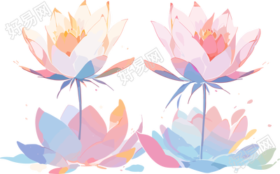 莲花可商用插画设计素材