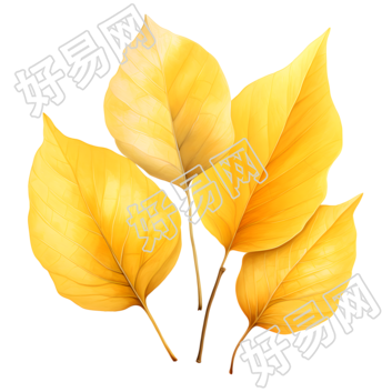 树叶简约插画设计素材
