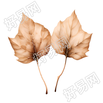 树叶高清插图