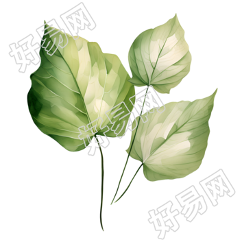 树叶商业设计图形素材