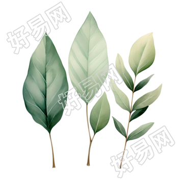 树叶创意设计元素