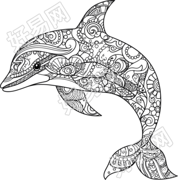海豚PNG高清图形素材