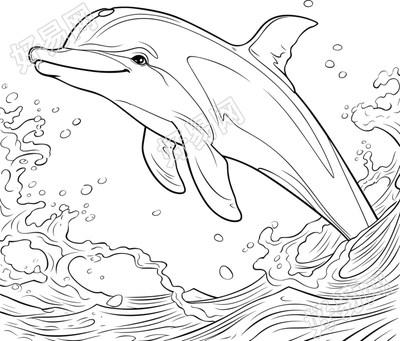 可爱海豚商用设计元素