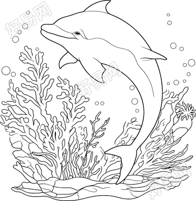 可爱海豚PNG图形素材