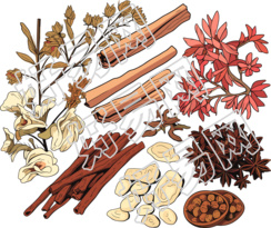 中草药高清图形素材