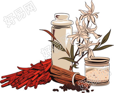 中草药矢量简洁插图