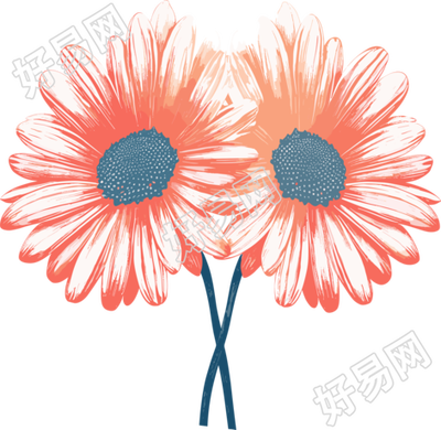 小雏菊商业插画设计