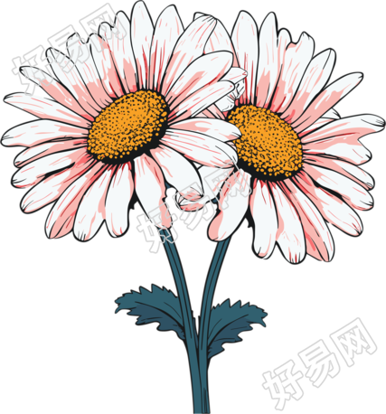 小雏菊商业设计元素