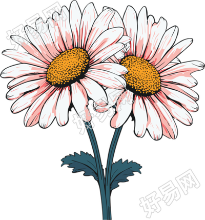 小雏菊商业设计元素