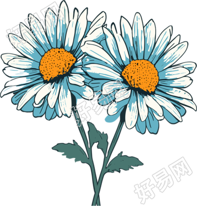 小雏菊可商用插图
