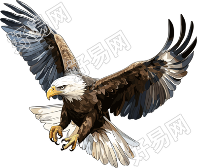 老鹰创意设计元素