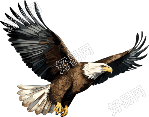 老鹰商业设计灵感插画