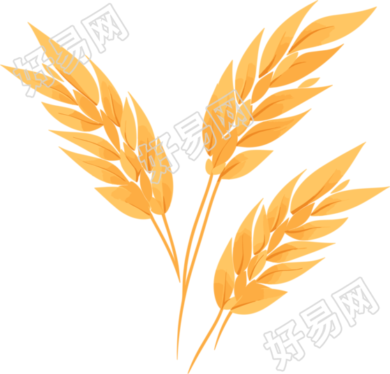 小麦PNG图形素材