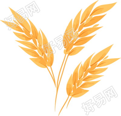 小麦PNG图形素材