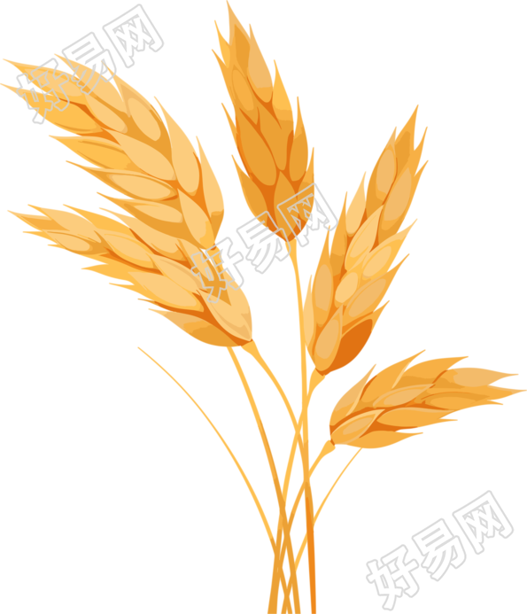 小麦商用设计元素
