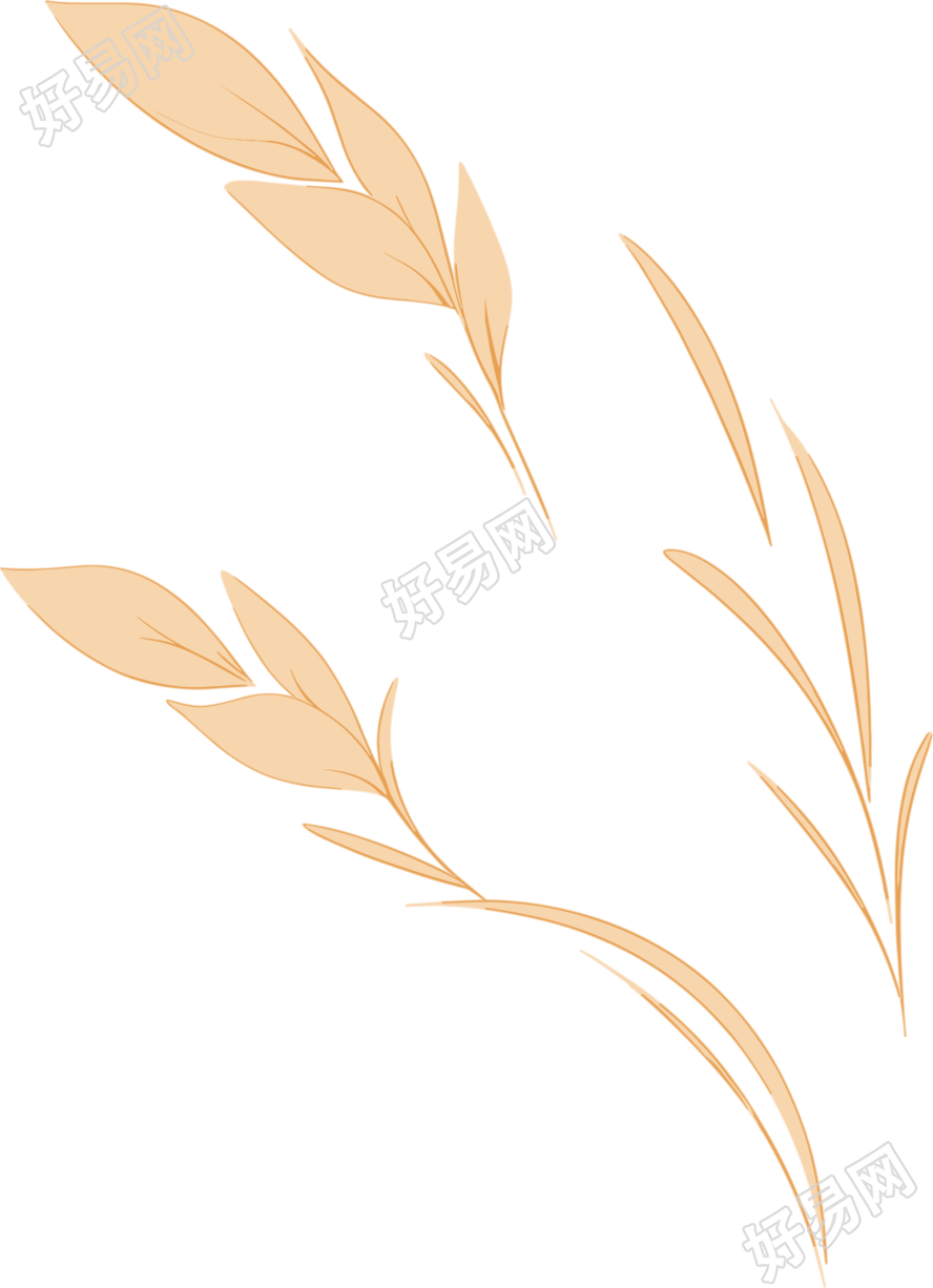 小麦简约插图设计素材