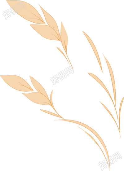 小麦简约插图设计素材