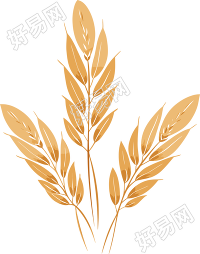 小麦插图设计元素