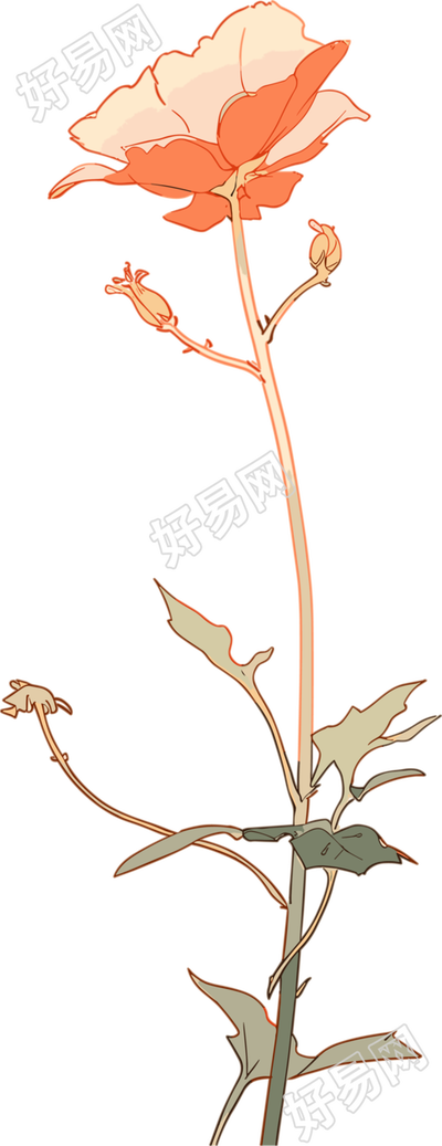 线条花朵创意设计图形素材