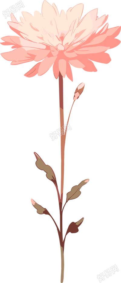 线条花朵商业设计元素