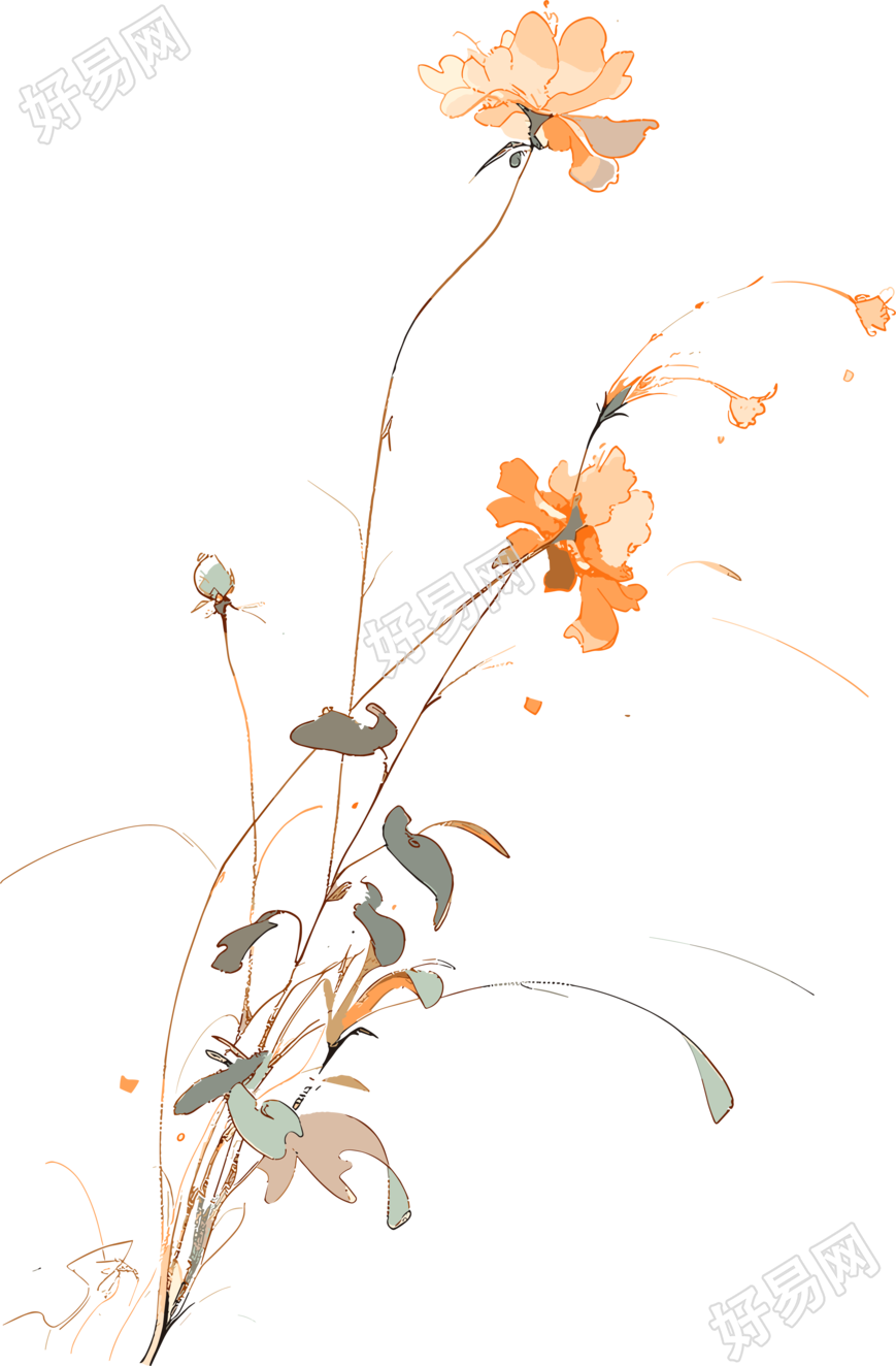 线条花朵透明背景素材