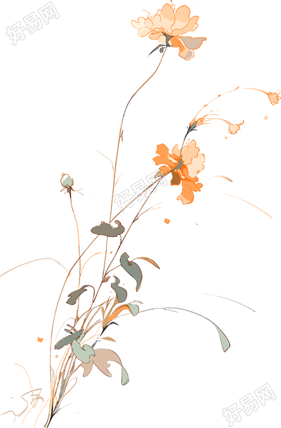 线条花朵透明背景素材
