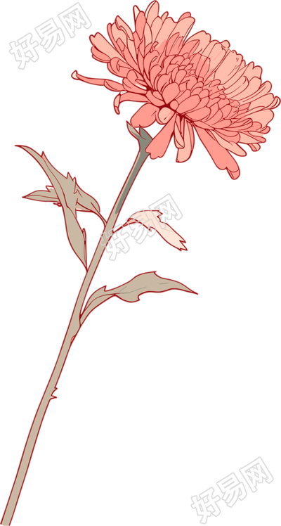 线条花朵高清素材