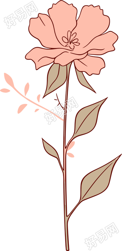 线条花朵透明背景PNG元素