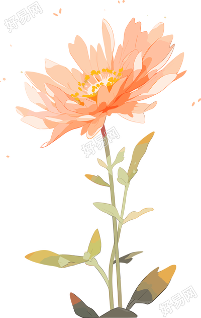 线条花朵图形素材