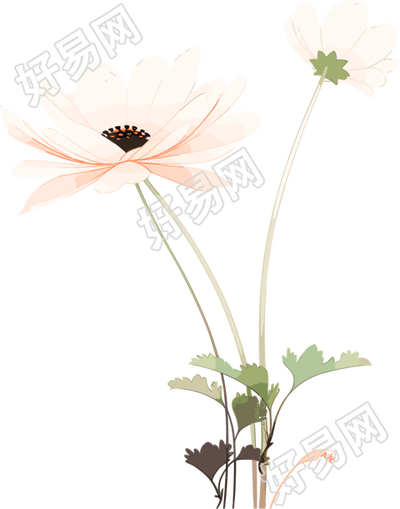 线条花朵柔和插图