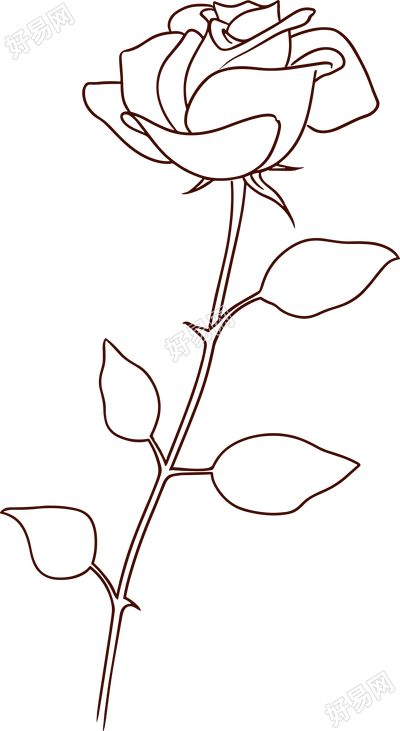 线条玫瑰花可商用插画