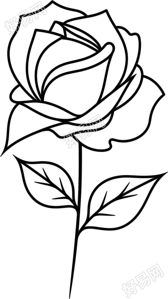 线条玫瑰花图形设计素材
