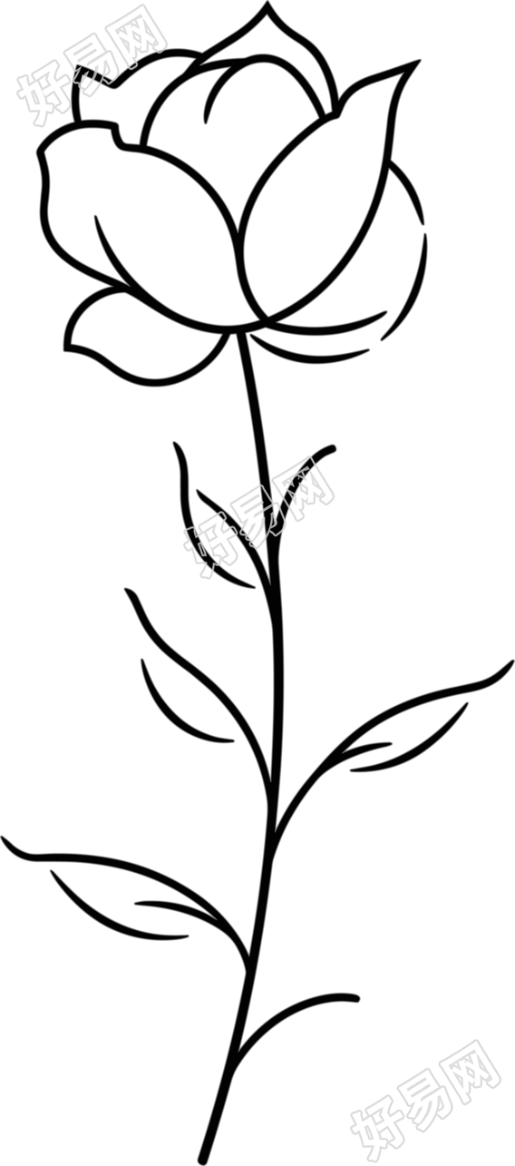 线条玫瑰花商业创意设计素材