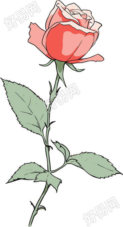 一朵玫瑰花绘画素材