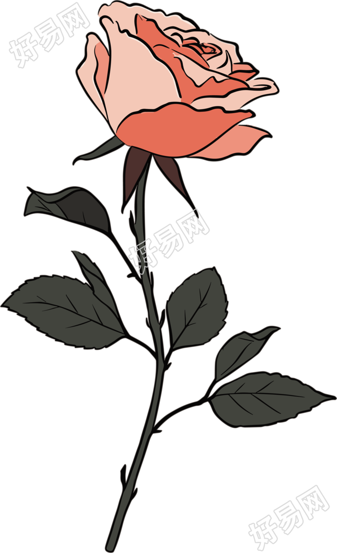 一朵玫瑰花图形设计元素