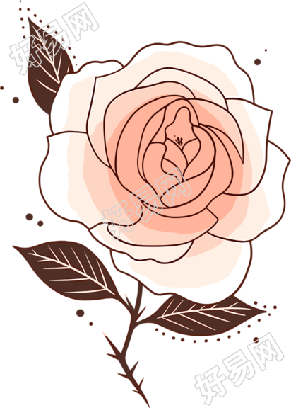 一朵玫瑰花透明背景插画