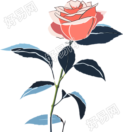 一朵玫瑰花商业插画