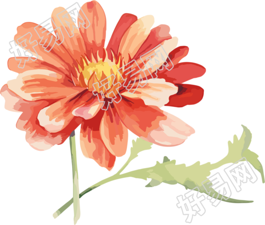水彩花卉可商用创意设计插画