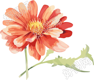 水彩花卉可商用创意设计插画