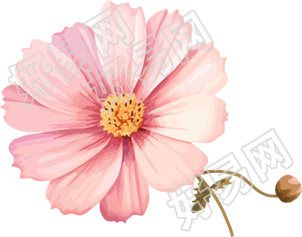 水彩花卉插图设计元素