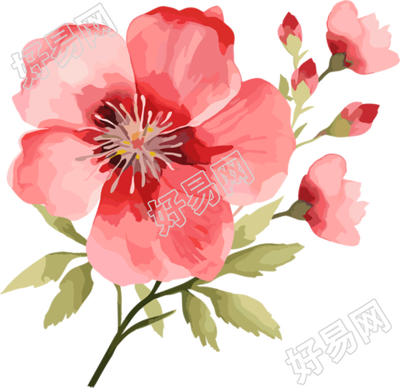 水彩花卉高清PNG图形素材