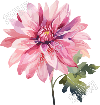 水彩花卉创意设计元素