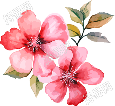 水彩花卉设计元素