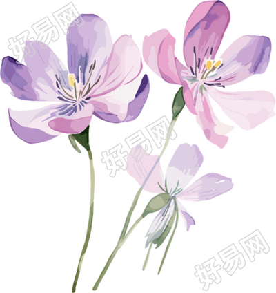 水彩花卉PNG图形素材