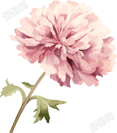 水彩花卉商业设计元素