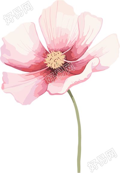 水彩花卉高清透明背景插画