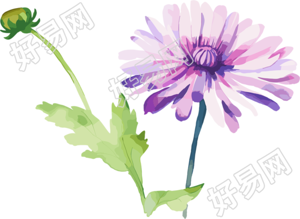 水彩花卉创意图形素材
