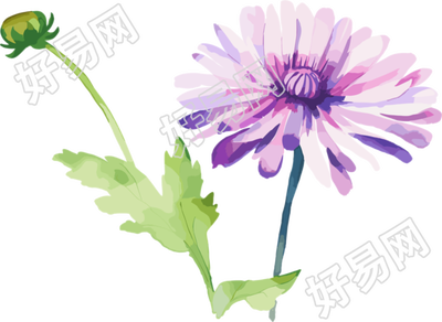 水彩花卉创意图形素材