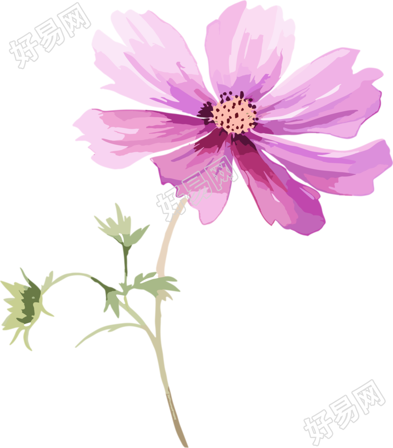 水彩花卉创意设计插画