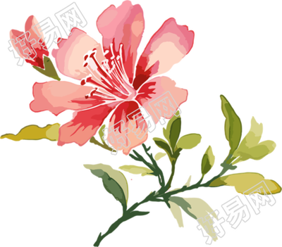 水彩花卉高清图形素材